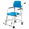 Easy to use, entry level chair scale